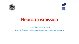 Neurotransmission and Neurohumoral Transmission in Pharmacology