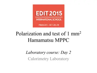 MPPC in Calorimetry Laboratory Course