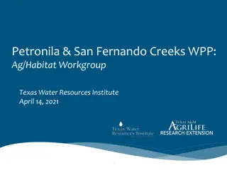 Wildlife Populations and Habitat Management in Petronila & San Fernando Creeks Watershed
