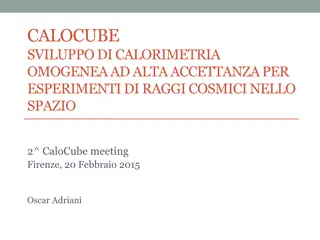 Advanced Development in Calorimetry for Cosmic Ray Experiments