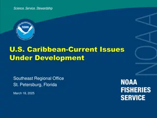 Fishery Management Plans and Regulations in the U.S. Caribbean Region