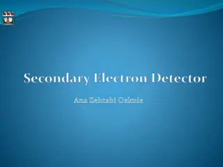 Secondary Electron Detection in SEM