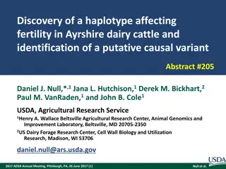 Haplotype Discovery and Fertility in Ayrshire Dairy Cattle
