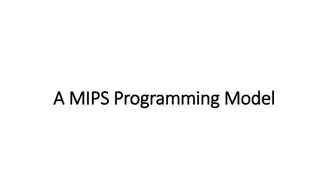 MIPS Programming Model for Efficient Programming