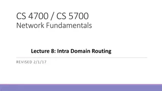Intra-Domain Routing Essentials & Internet Organization