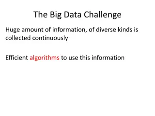Data Challenge: Efficient Algorithm Solutions for Big Data