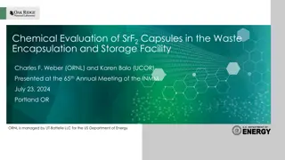 Chemical Evaluation of SrF2 Capsules in Waste Encapsulation Facility