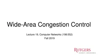 Wide-Area Congestion Control in Computer Networks
