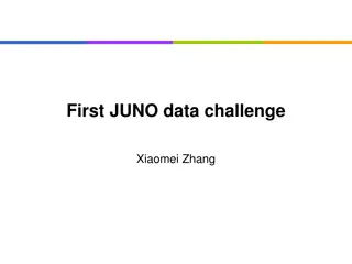 Juno Data Management System and Network Performance Analysis