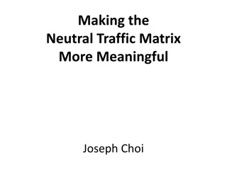 Enhancing Traffic Matrix Security and Anonymity Strategies