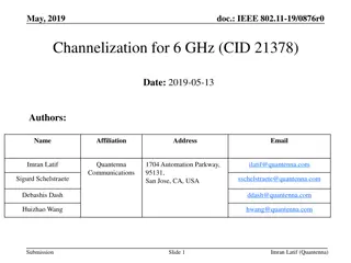 Optimizing Channelization for 6 GHz Band in IEEE 802.11-19/0876r0 Document