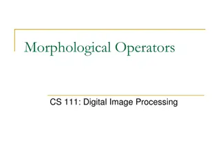 Digital Image Processing: Understanding Morphological Operators