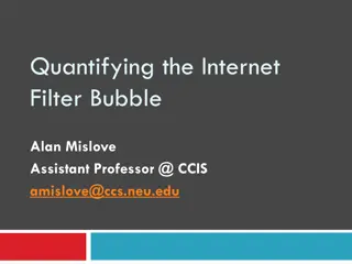 theInternet Filter Bubble and Personalization Effects