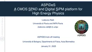 Cutting-edge ASPiDeS Project: Advancing High Energy Physics with Digital SiPM Technology