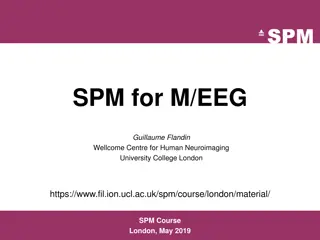 Advanced Techniques in M/EEG Analysis and SPM Software Overview