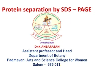 Protein Separation by SDS-PAGE and Electrophoresis Techniques