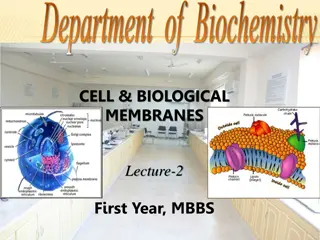 Cell Membrane Structure and Functions in Biology