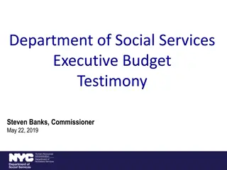 Social Services Executive Budget Testimony Details