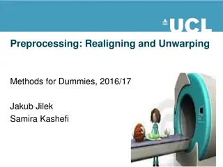 fMRI Preprocessing: Methods and Assumptions