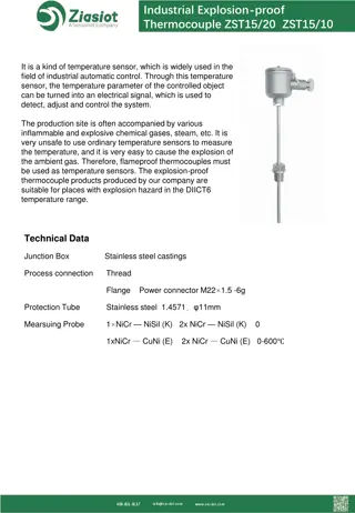 Industrial Explosion-Proof Thermocouple ZST15/20 | Temperature Sensor