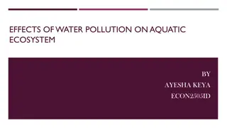 Water Pollution's Impact on Aquatic Ecosystems