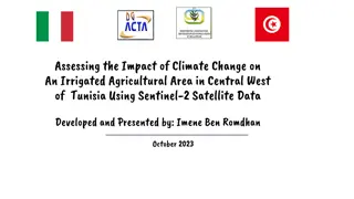 Impact of Climate Change on Irrigated Agricultural Area in Central West Tunisia