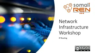 IP Routing Protocols and Routed Protocols