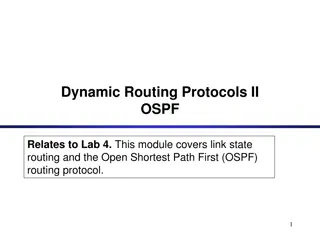Link State Routing and OSPF Protocol in Networking