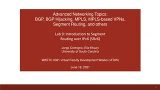 Introduction to Segment Routing over IPv6 Lab