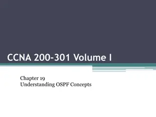 OSPF and Dynamic Routing Protocols