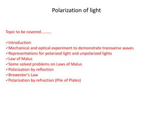 Polarization of Light and Laws of Malus: A Comprehensive Guide