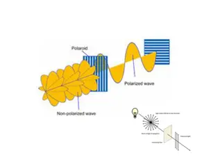 Polarizations in Optics