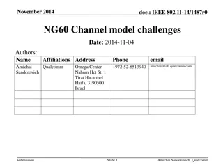 Challenges and Features of IEEE 802.11 NG60 Channel Model