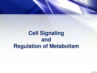 Cell Signaling and Metabolism Regulation Overview
