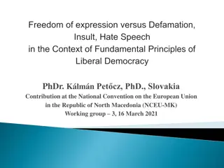 Importance of Freedom of Expression in Liberal Democracy
