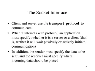 Socket Interface and Communication Protocols