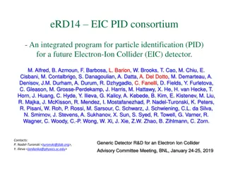 Integrated Program for Particle Identification at Future Electron-Ion Collider