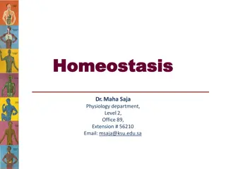 Homeostasis and Its Importance in Physiology