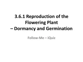 Seed Germination and Dormancy in Flowering Plants
