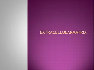 The Extracellular Matrix and Intercellular Junctions