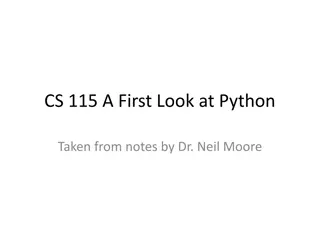 Python Programming Basics