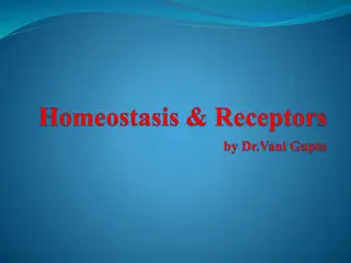 Homeostasis and Body Regulation