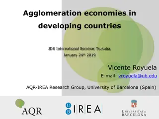 Agglomeration Economies in Developing Countries: Analysis and Implications
