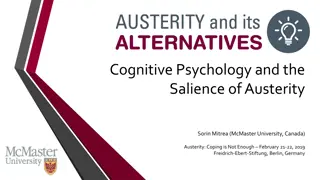 The Cognitive Dimensions of Austerity Policies