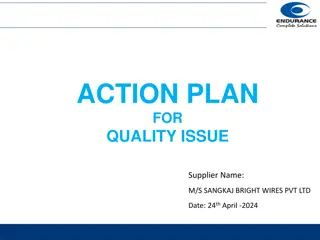 Action Plan for Quality Issues with M/S Sangkaj Bright Wires Pvt Ltd