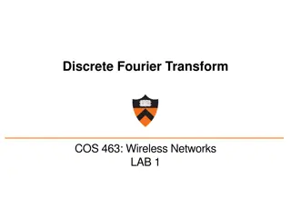 Exploring Discrete Fourier Transform in Wireless Networks - LAB 1