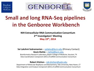 Small and Long RNA-Seq Pipelines in Genboree Workbench
