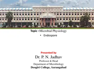 Microbial Physiology: The Fascinating World of Endospores