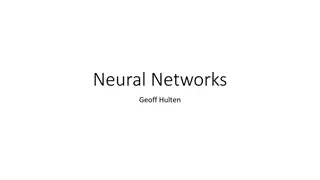 Neural Networks and Brain Functionality