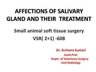 Salivary Gland Affections and Treatment in Small Animals